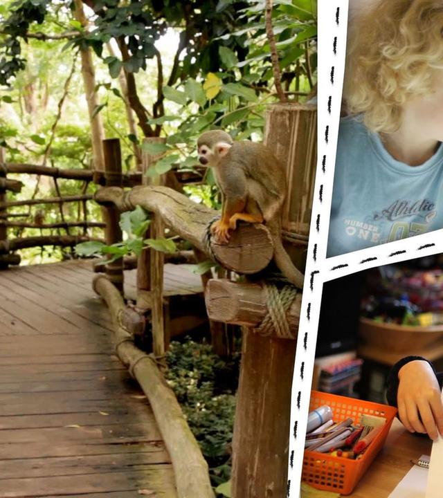 Lava, Dschungel und Vulkan - wir experimentieren und malen