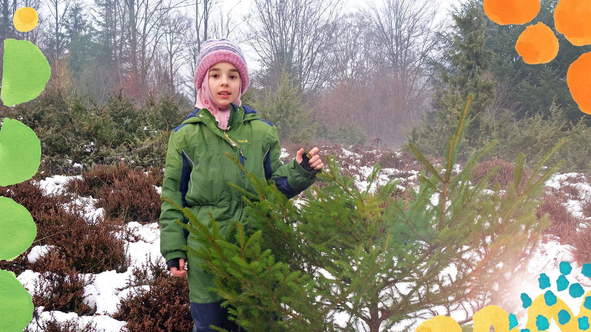 Lu und der Weihnachtsbaum