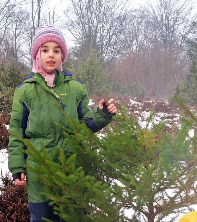 Lu und der Weihnachtsbaum