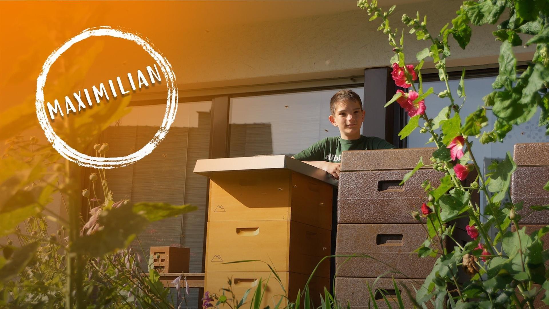 Maximilian und seine Bienen