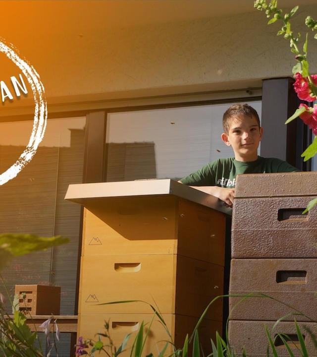 Maximilian und seine Bienen