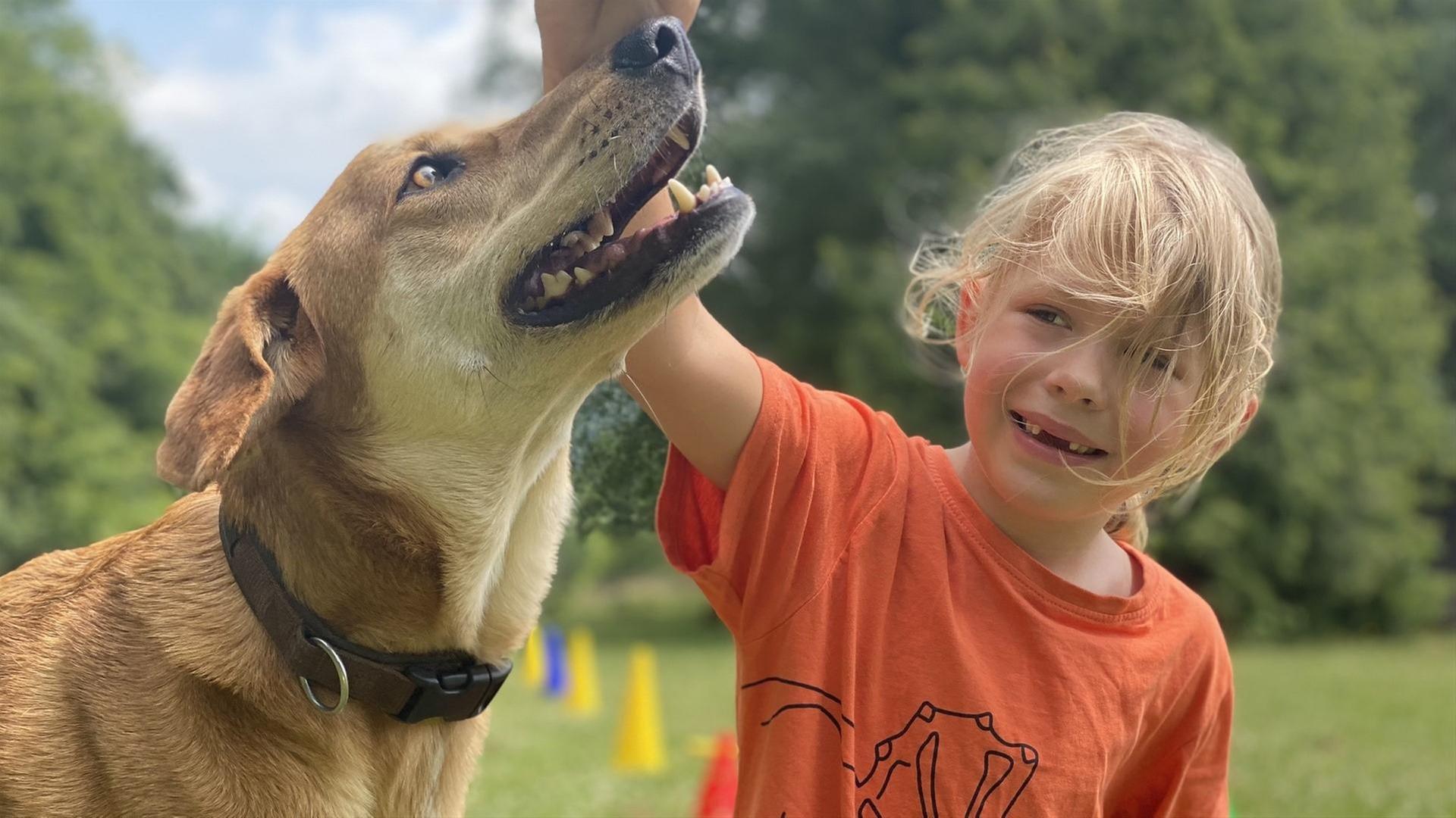 Milan und die Hundetricks