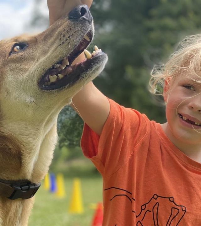 Milan und die Hundetricks