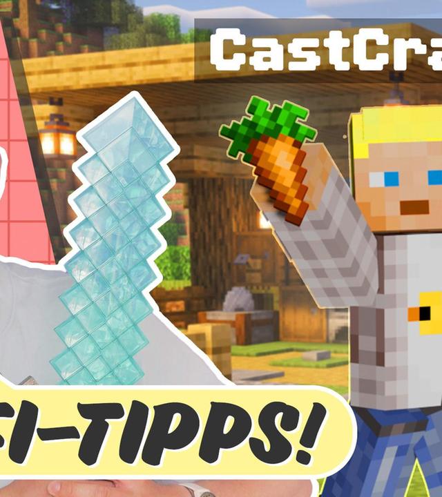 Minecraft: warum lieben es ALLE? (Gebärdensprache)