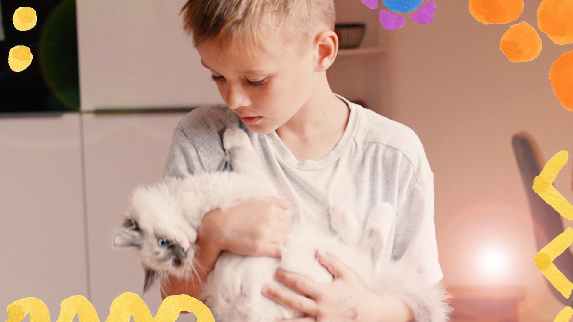 Mio und die Katzenbabys