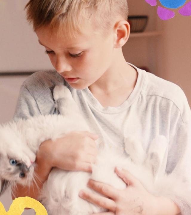 Mio und die Katzenbabys