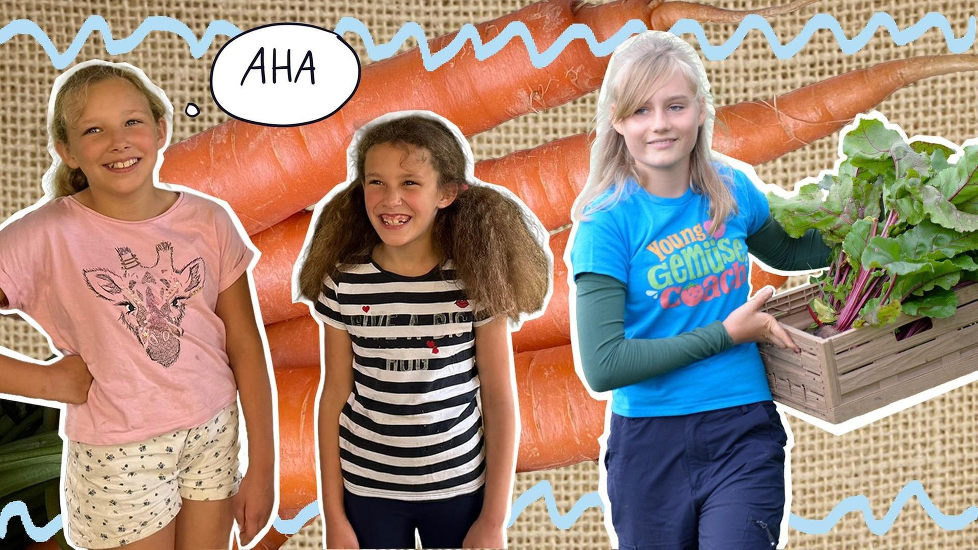 Mira & die beste Möhren-Tarte der Welt