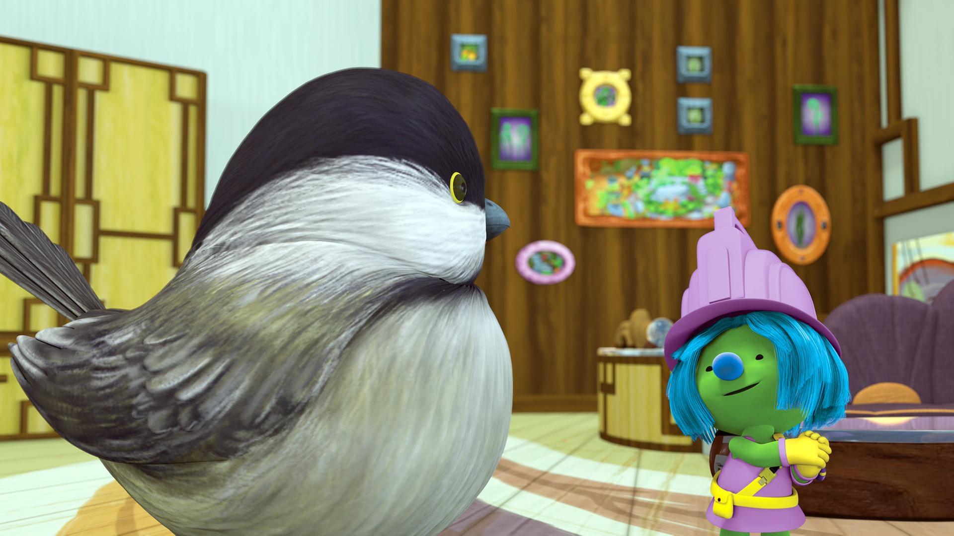 Mission: Das passende Zuhause