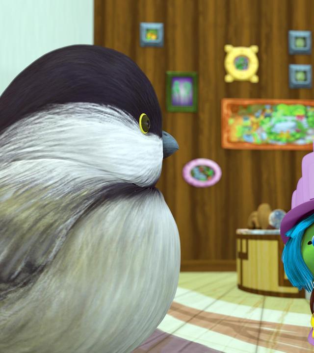 Mission: Das passende Zuhause