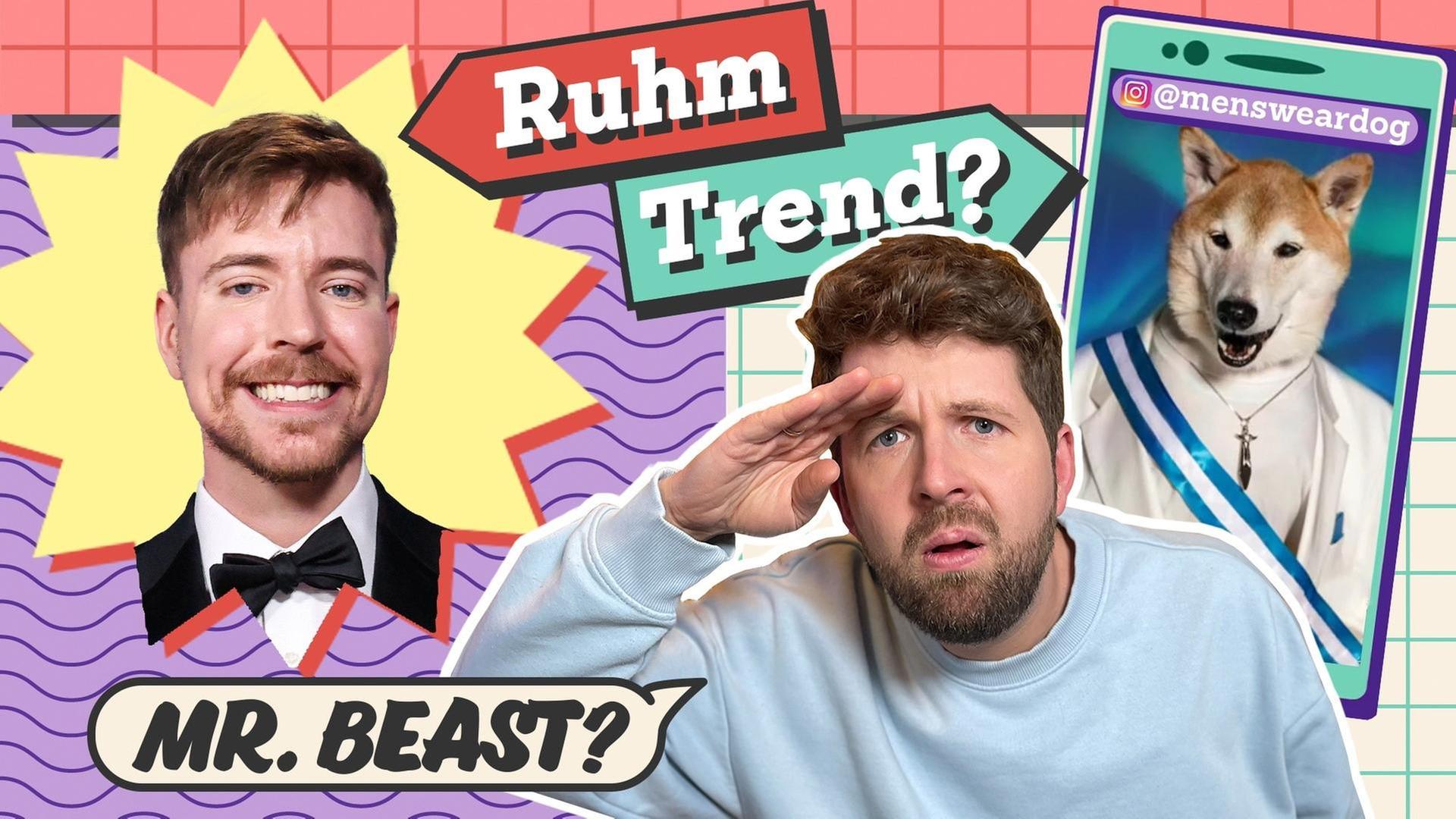 Mister Beast und Tiere bei Youtube
