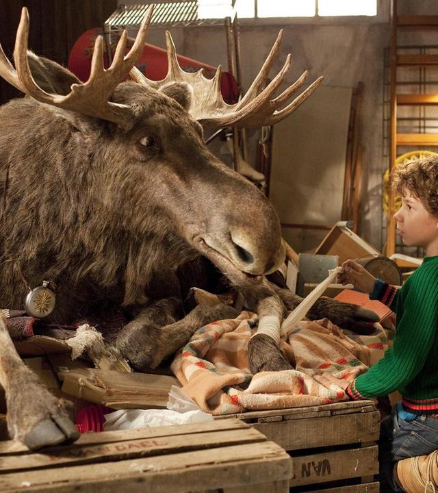 Mitten in der Winternacht