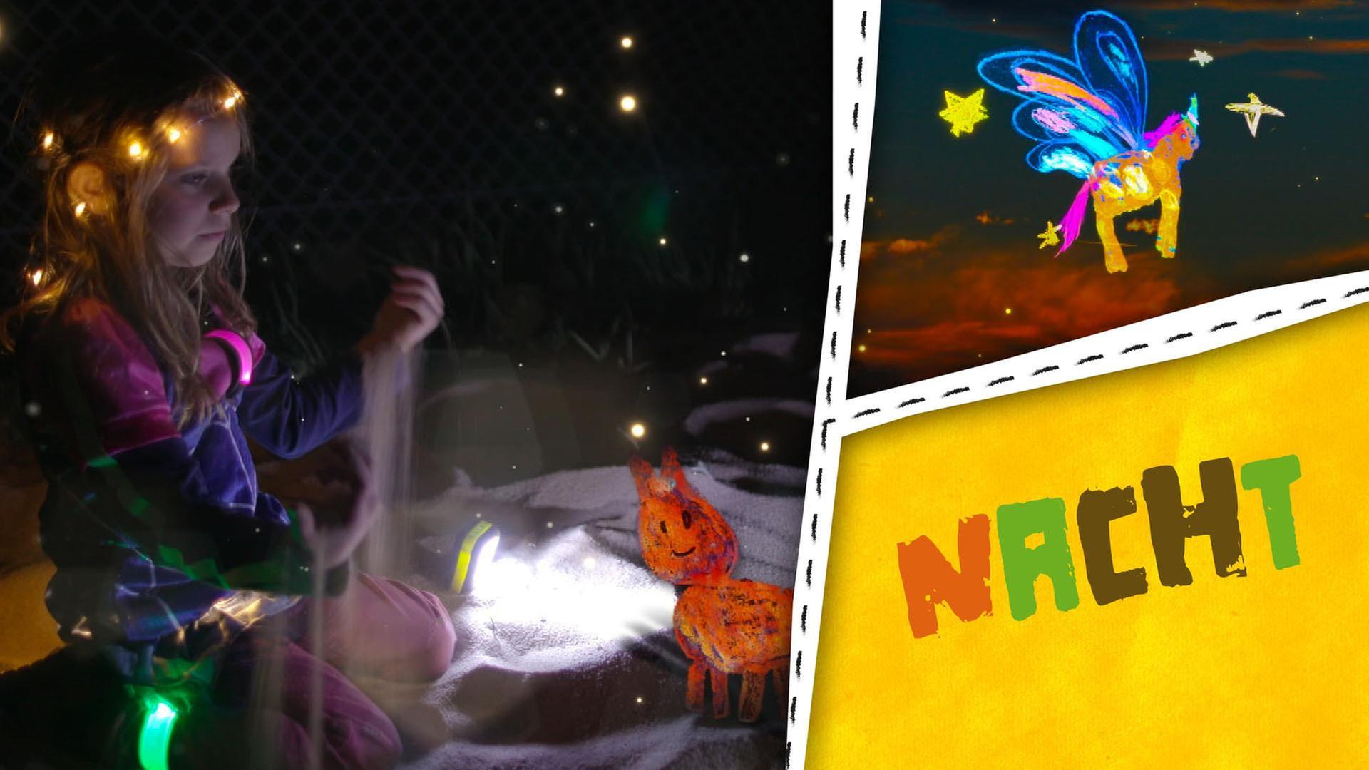 Nacht - Laterne, Nachtwanderung und nachtaktive Stinktiere