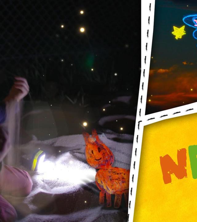 Nacht - Laterne, Nachtwanderung und nachtaktive Stinktiere