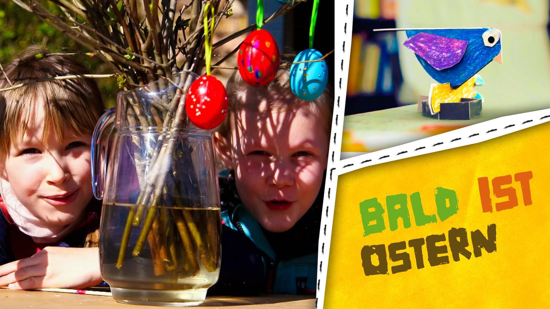 Ostern - Eierlauf, Futter für Kaninchen und Osterblumen