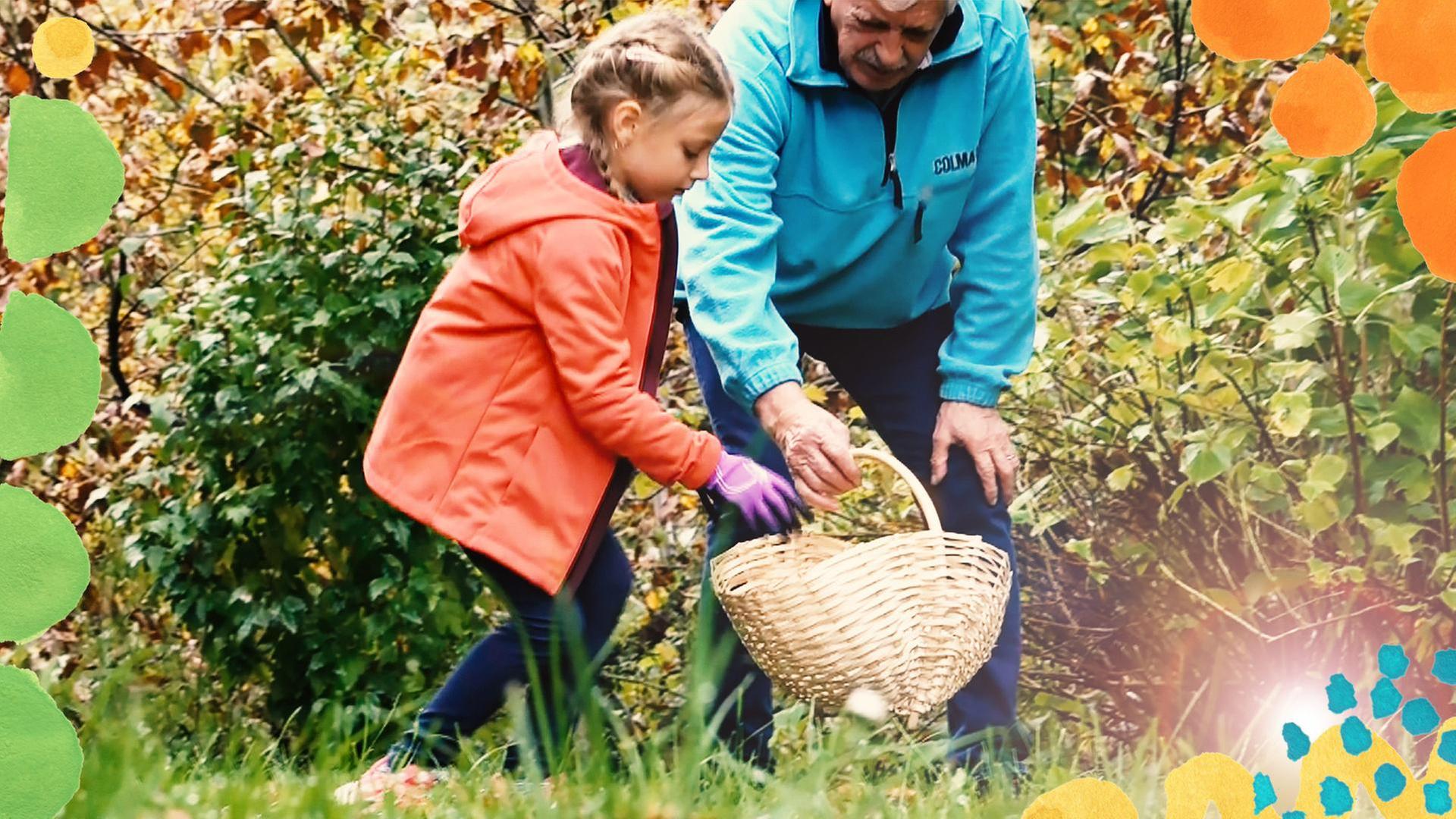 Petra und das Kastanienfest