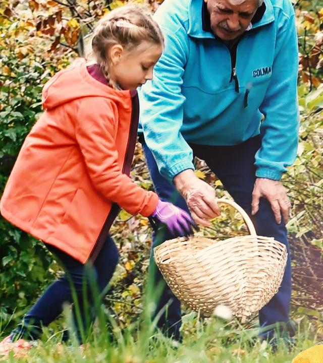 Petra und das Kastanienfest