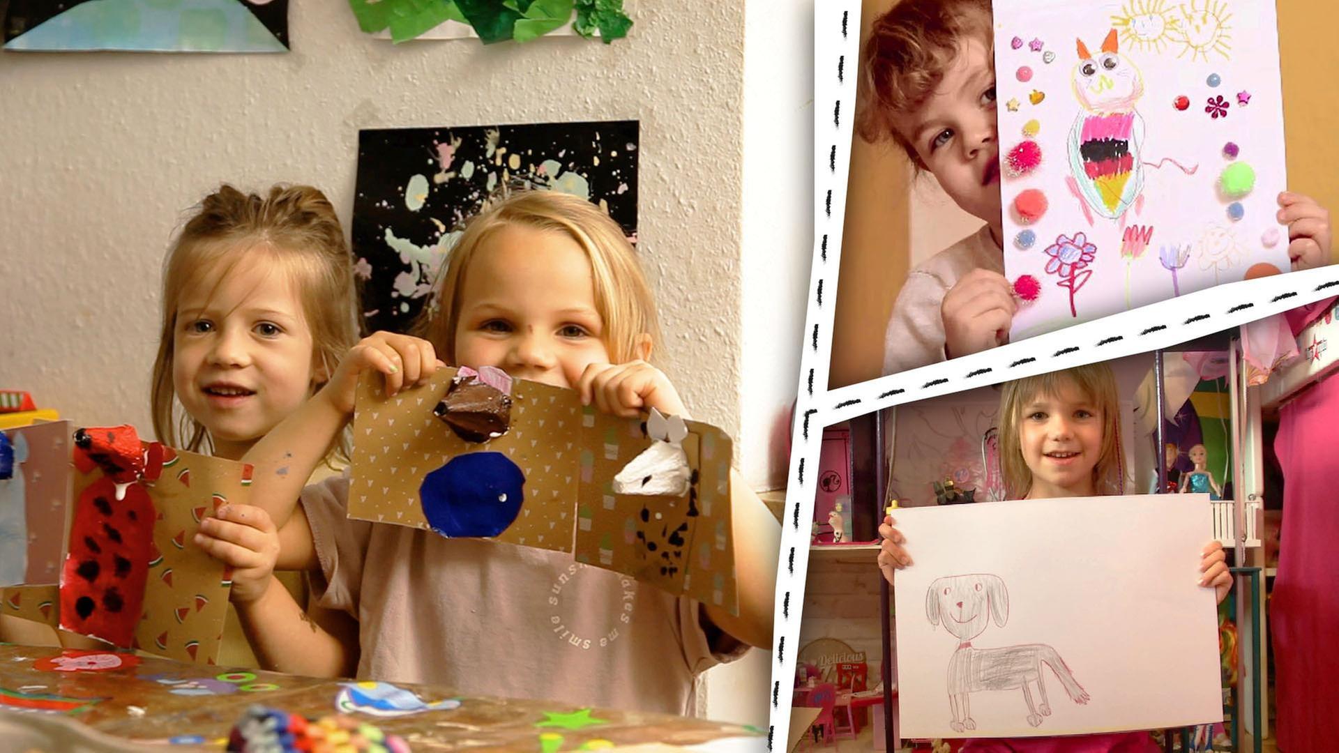 Pferde, Hunde, Katzen - Wir gestalten unsere Lieblingstiere