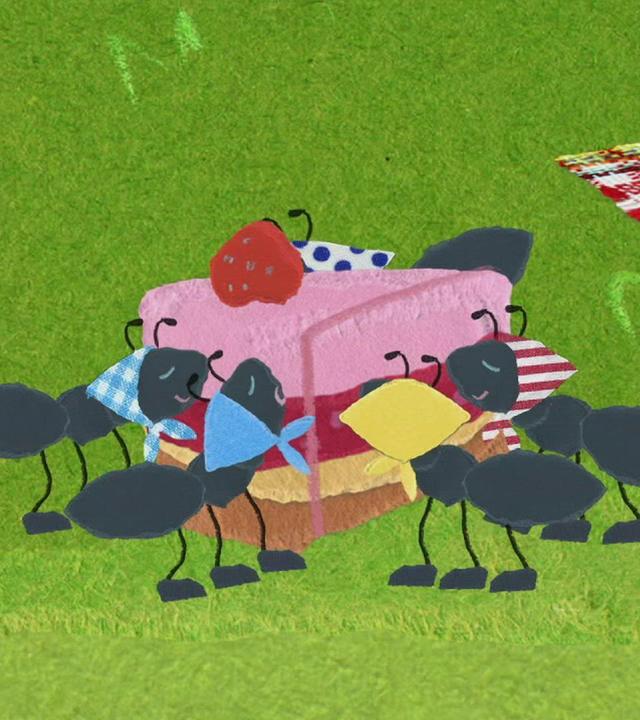 Picknick mit den Ameisen