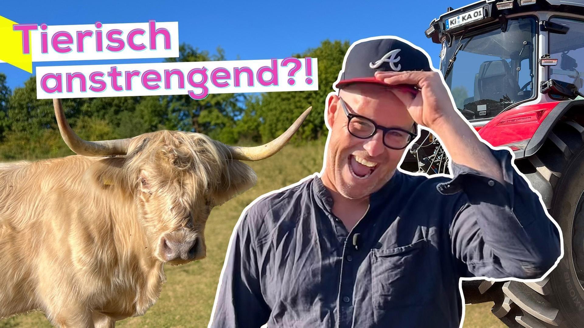 Praktikum beim Landwirt