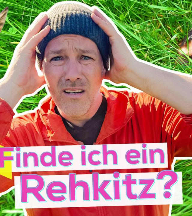 Rehkitze retten