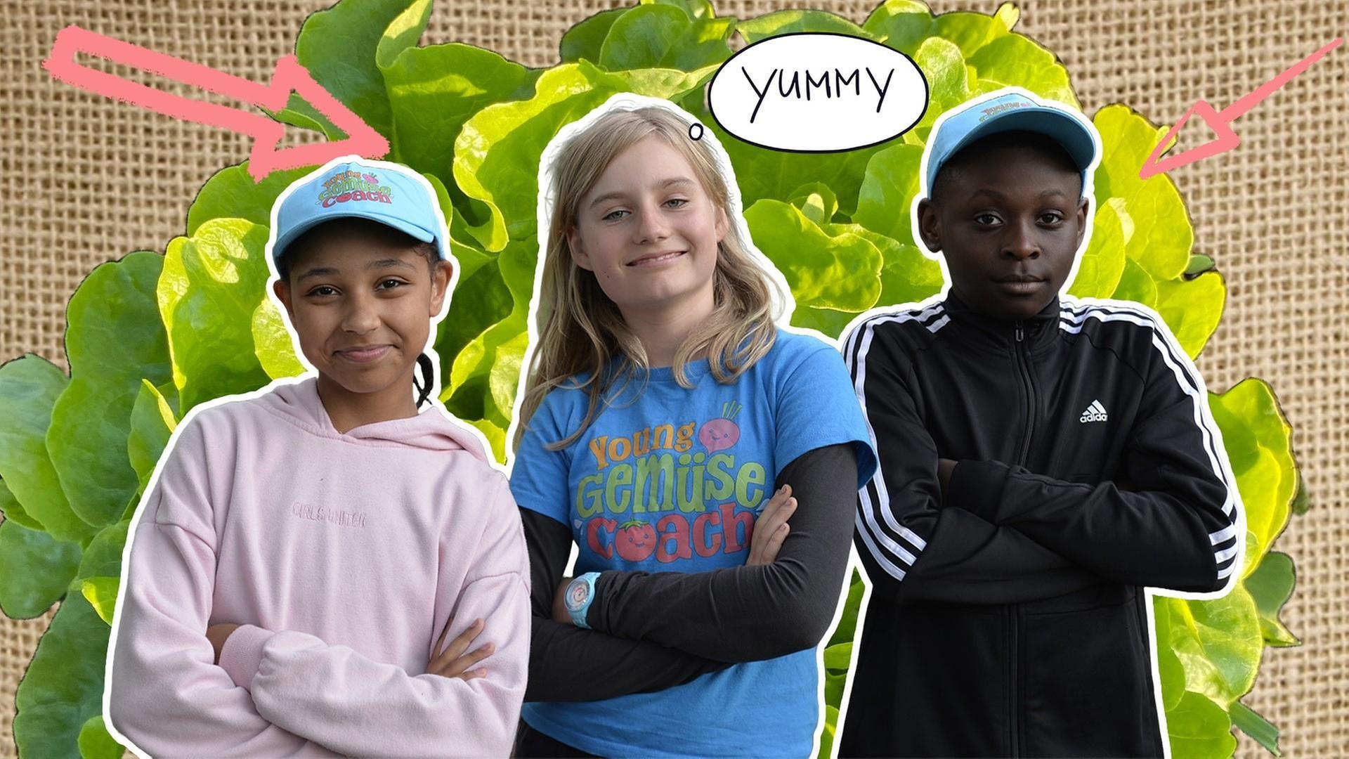 Salat im Pyramidenbeet