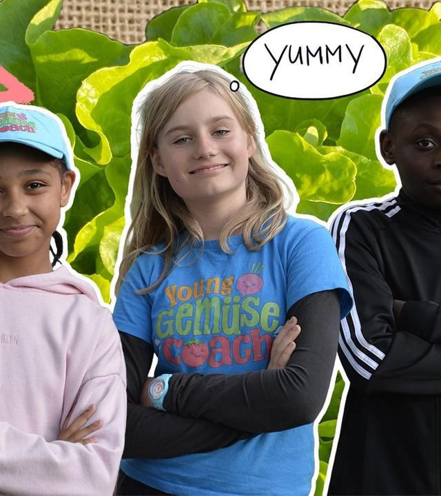 Salat im Pyramidenbeet