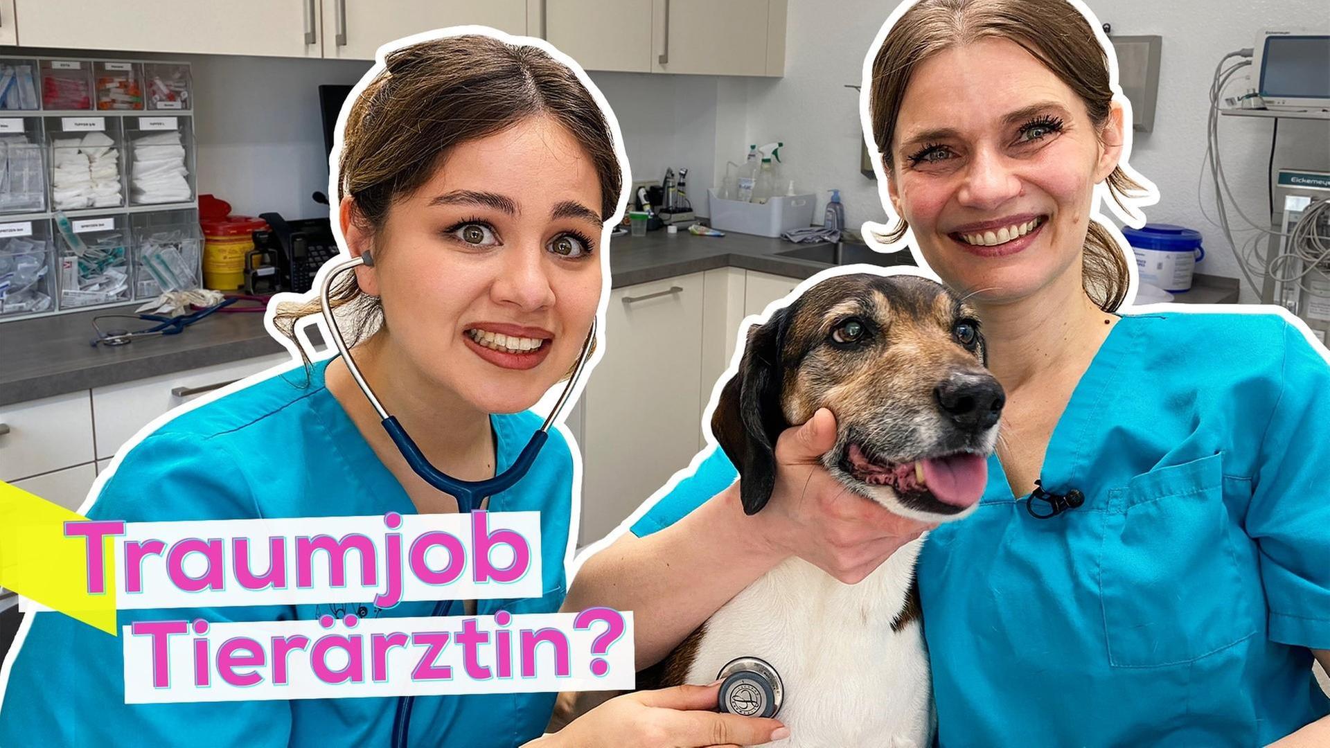 Sarah im Praktikum: Tierärztin