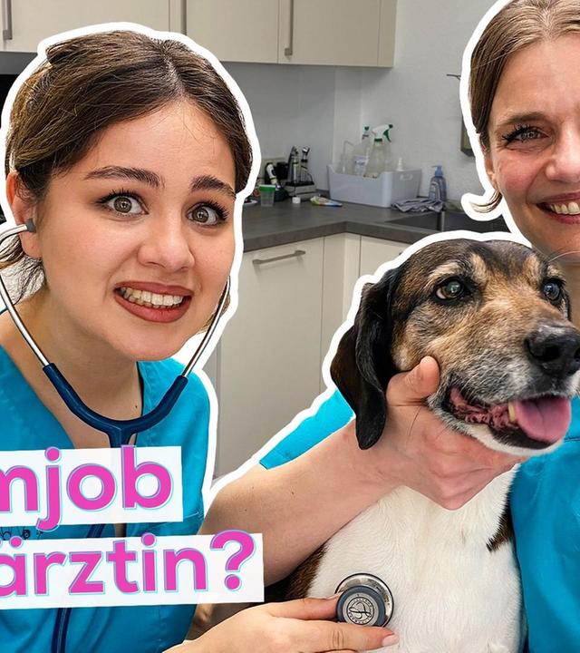 Sarah im Praktikum: Tierärztin