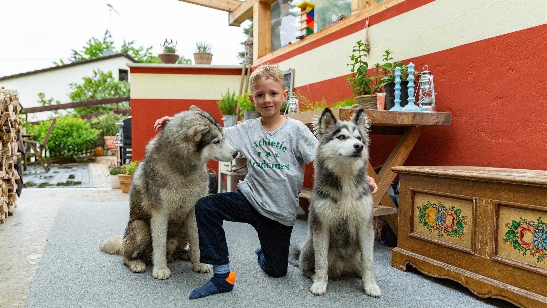 Sid und seine Huskys
