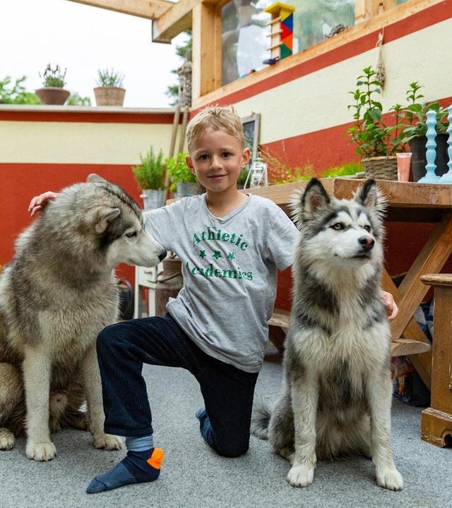 Sid und seine Huskys