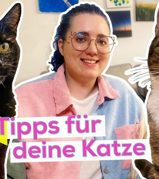 So machst du deine Katze glücklich