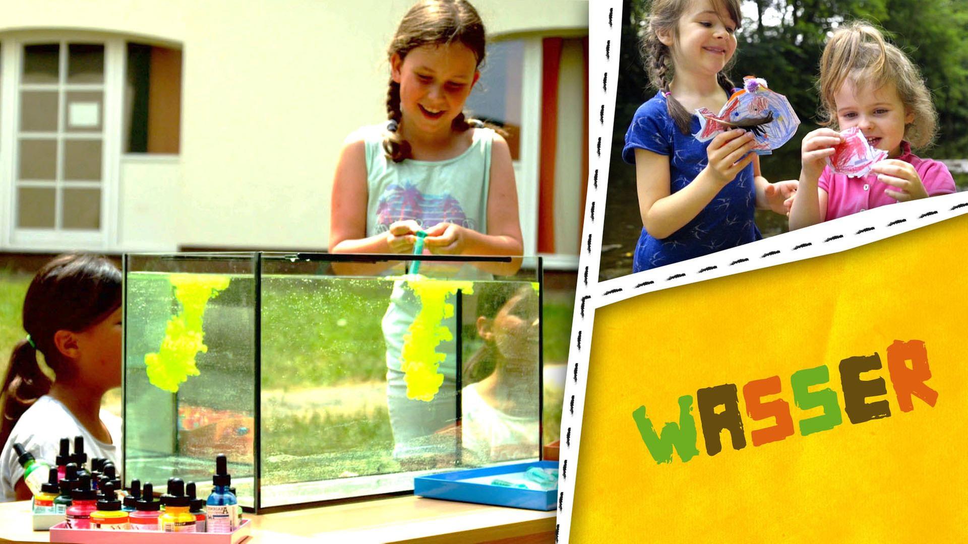 Staudamm, Fische basteln und Farbexperimente mit Wasser