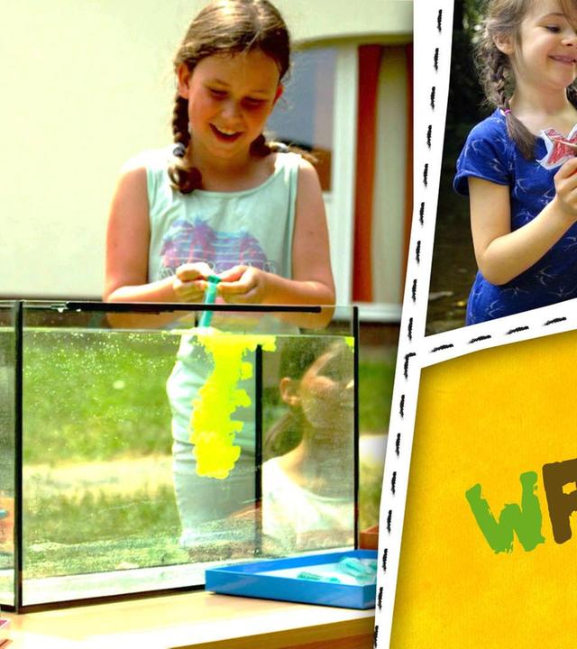 Staudamm, Fische basteln und Farbexperimente mit Wasser