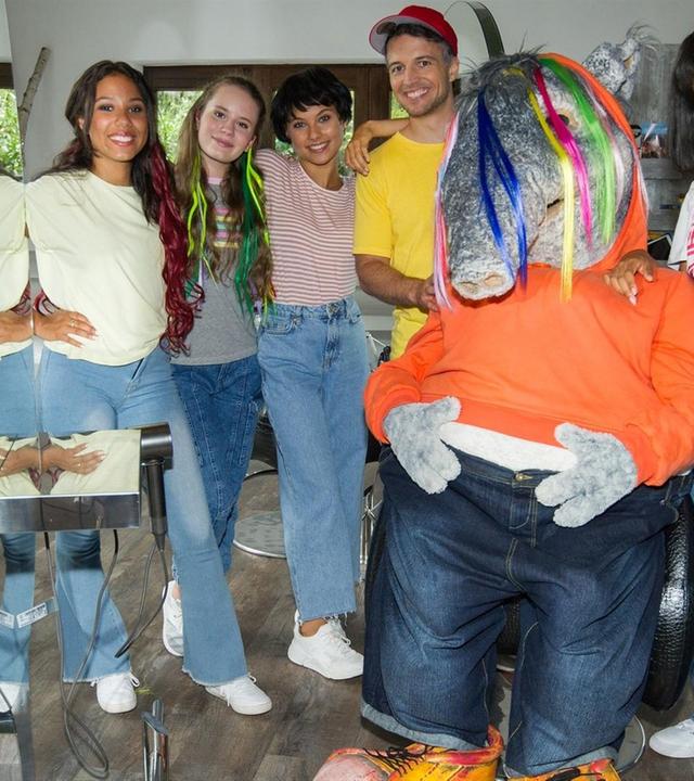 TanzTapir - zum Haare raufen