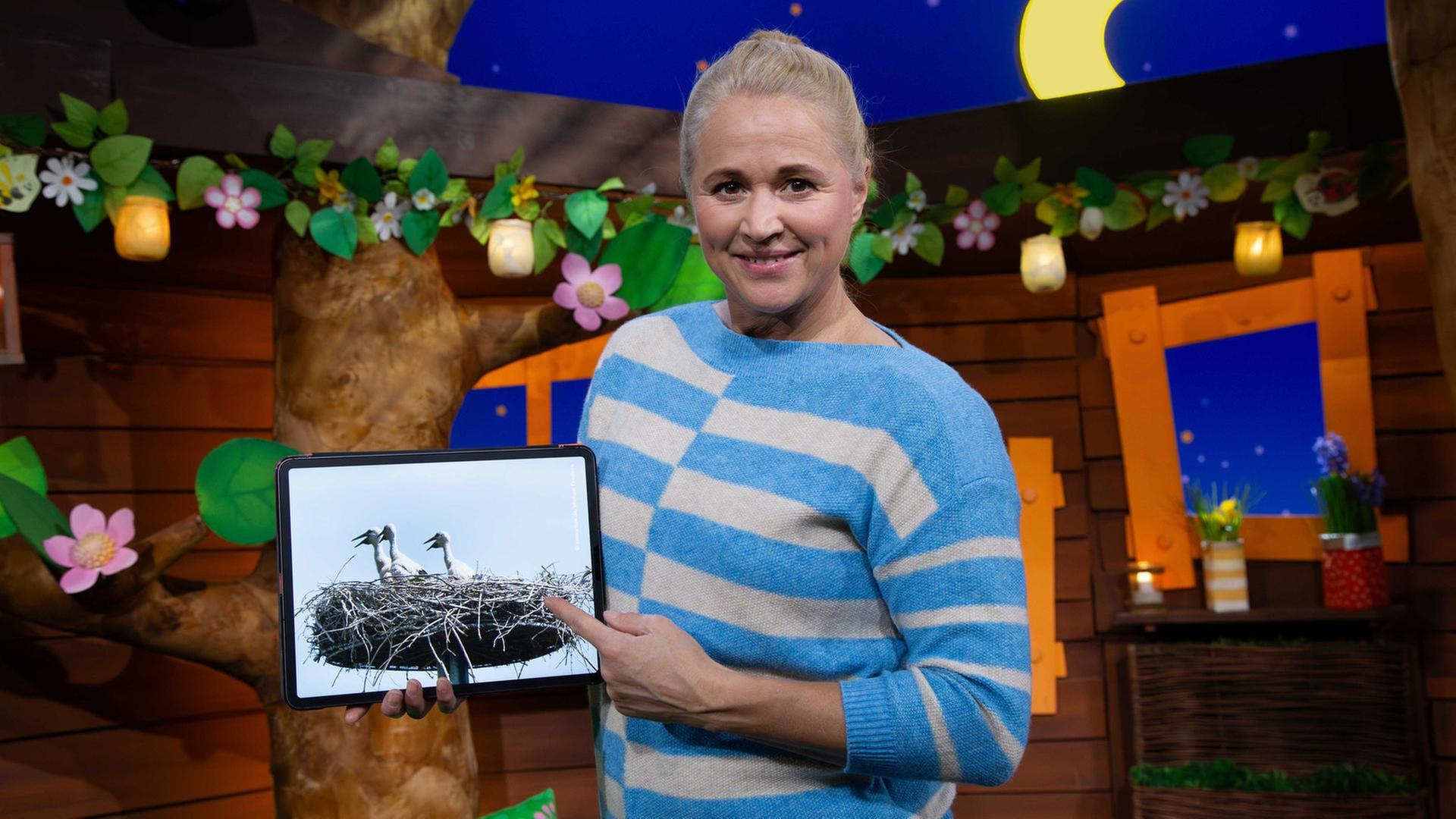 Tierbaby-Woche: Babys, die sich verändern