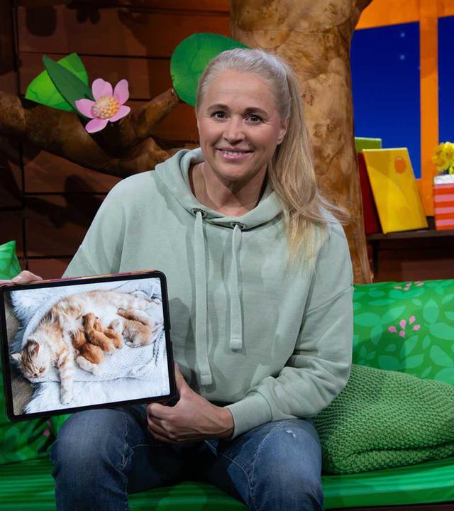 Tierbaby-Woche: Wie kommen Tierbabys auf die Welt?