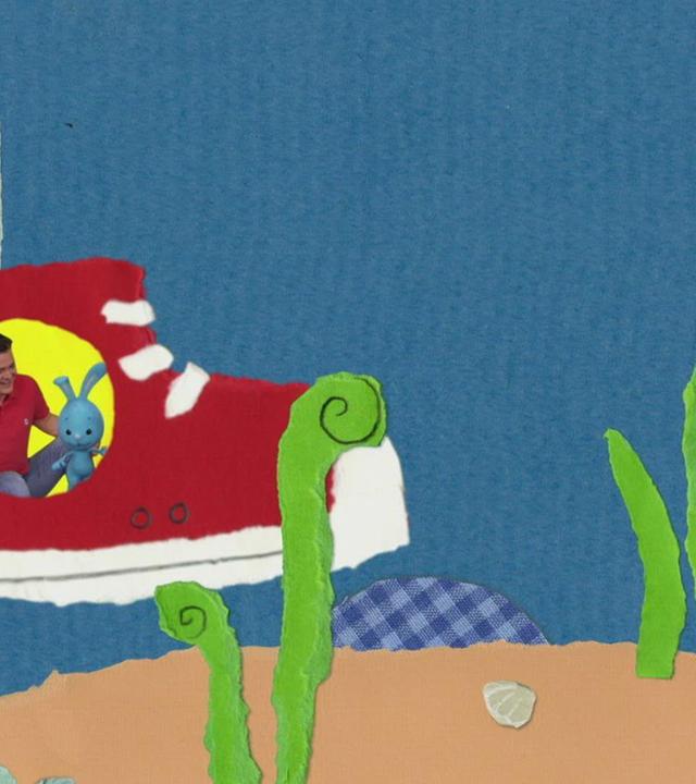 Unterwegs zu einem Seehund