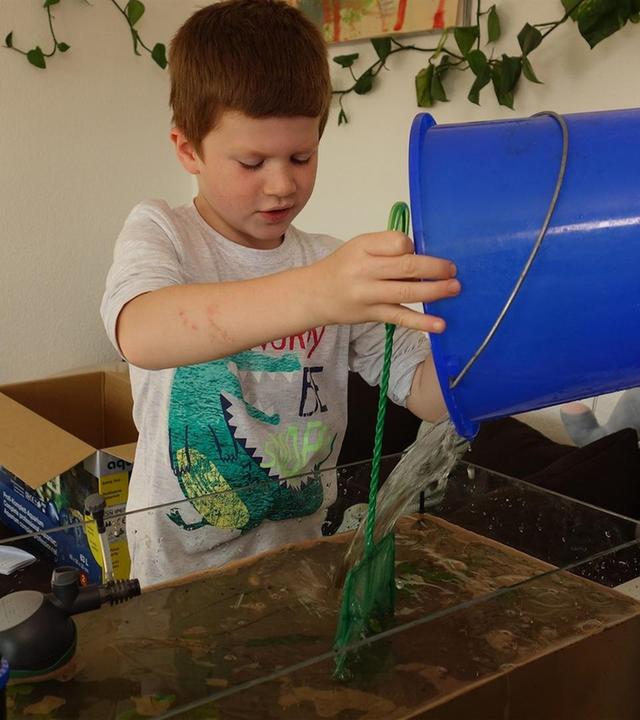 Vincent und die Fische