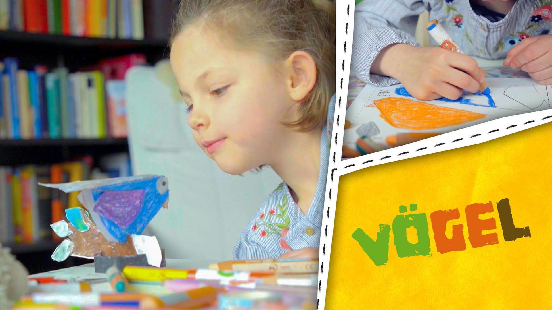 Vögel, Vogeltränke und  Vogelwitze - wir basteln und lachen