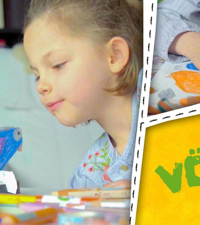 Vögel, Vogeltränke und  Vogelwitze - wir basteln und lachen