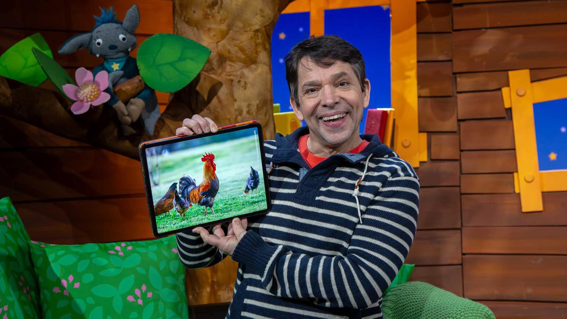 Von Hühnern und Hähnen