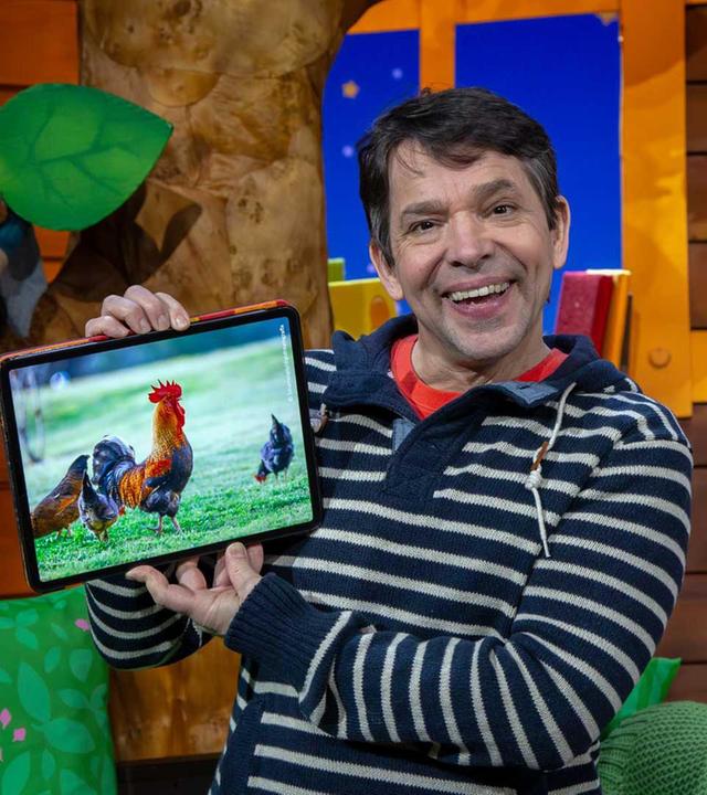 Von Hühnern und Hähnen