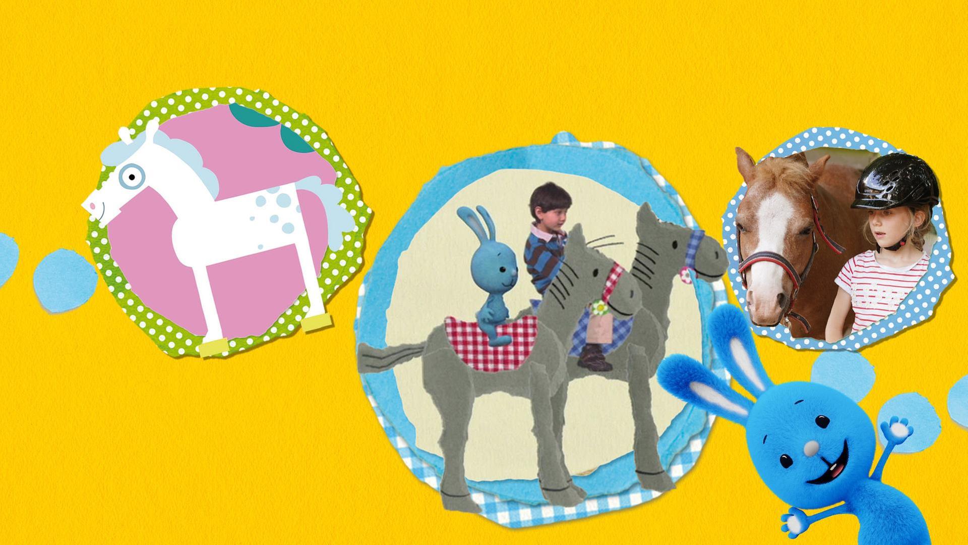 Von Pferden, Ponys und Reiten