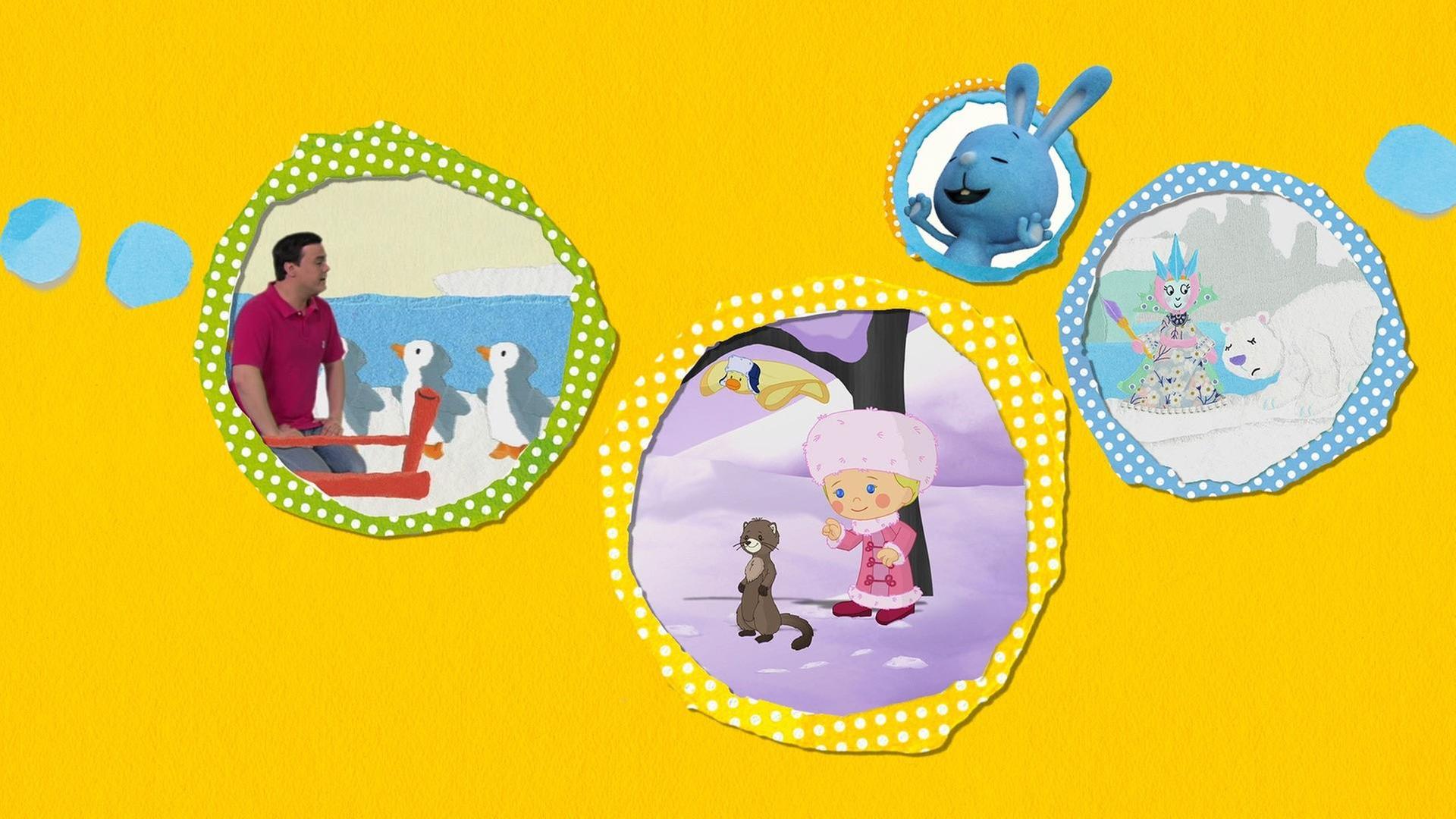 Von Pinguinen und Nordlichtern