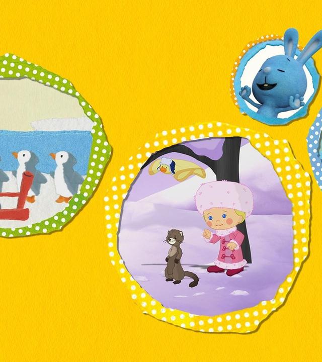 Von Pinguinen und Nordlichtern