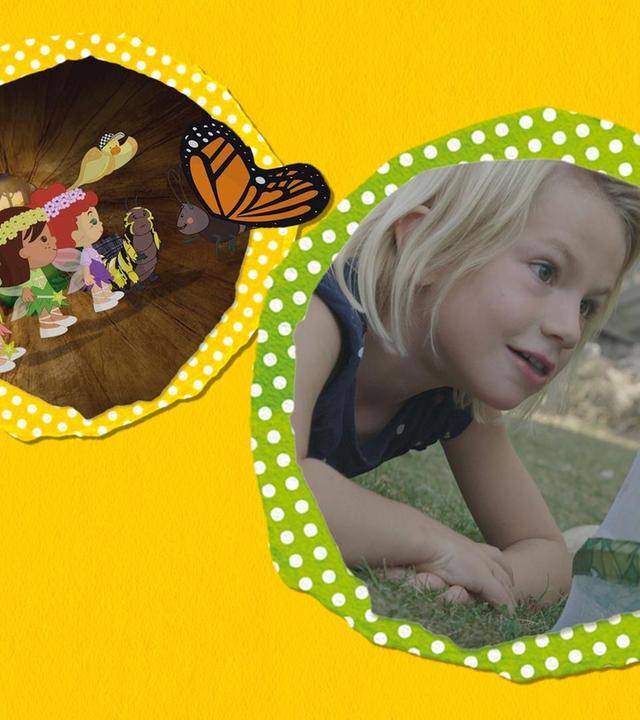 Von Raupen und Schmetterlingen