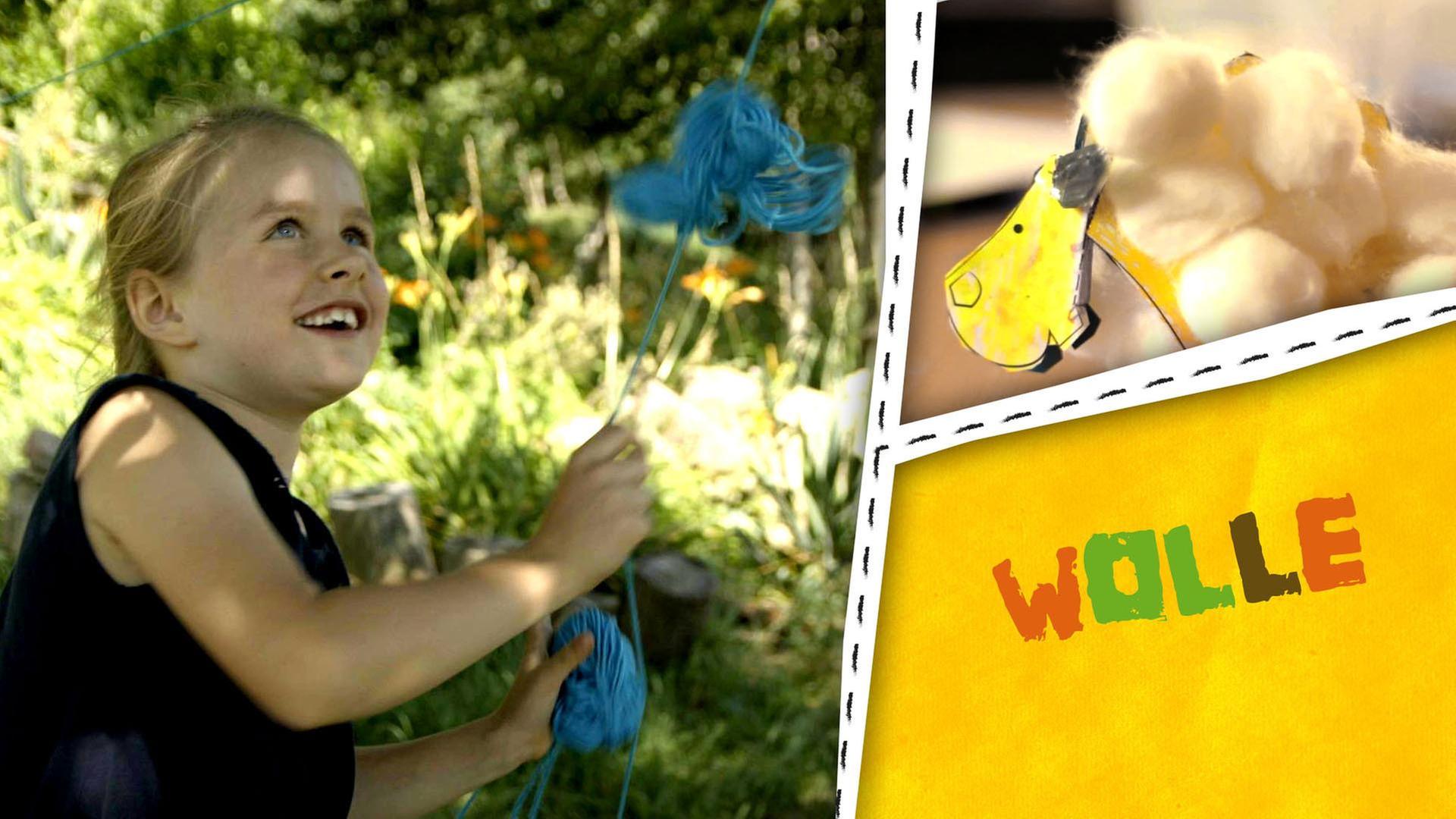Wolle - Wir experimentieren mit Wolle und basteln ein Schaf