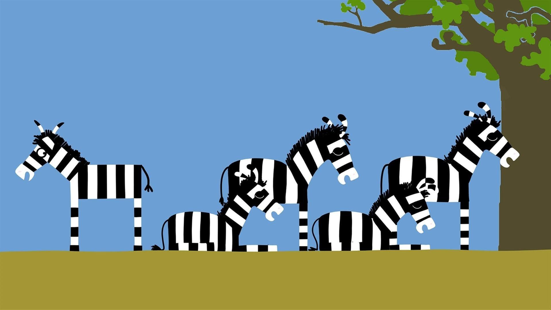 Zebra