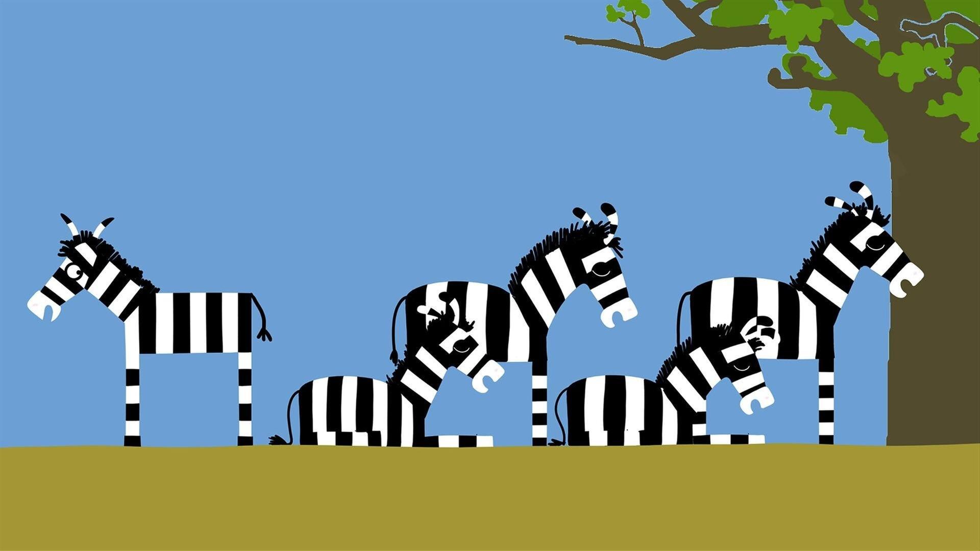 Zebra