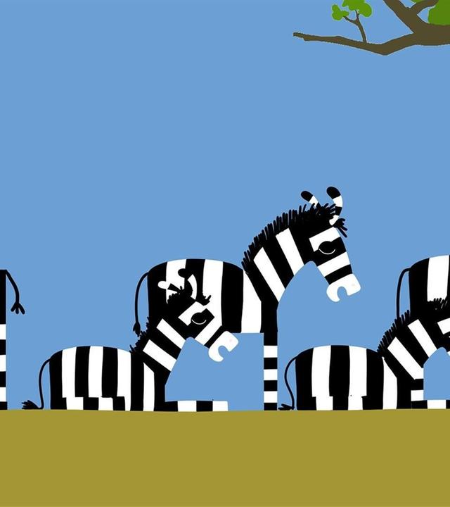 Zebra